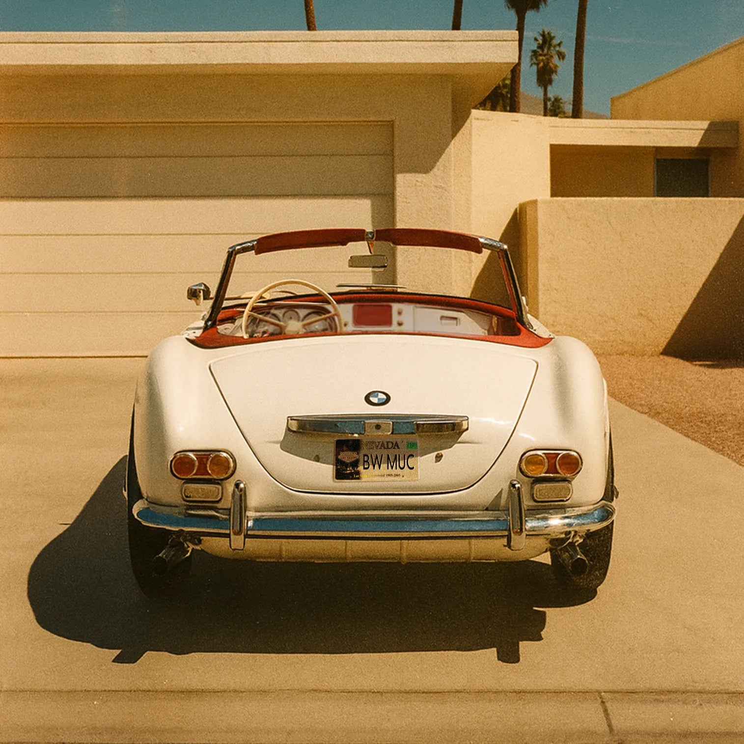 Special Edition Elvis 507