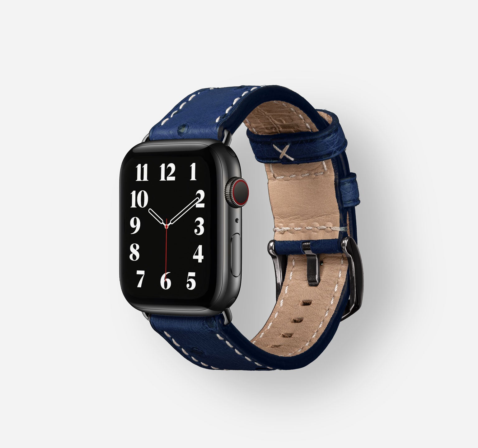 Ostrich-Blue-Stainless-Steel-Black