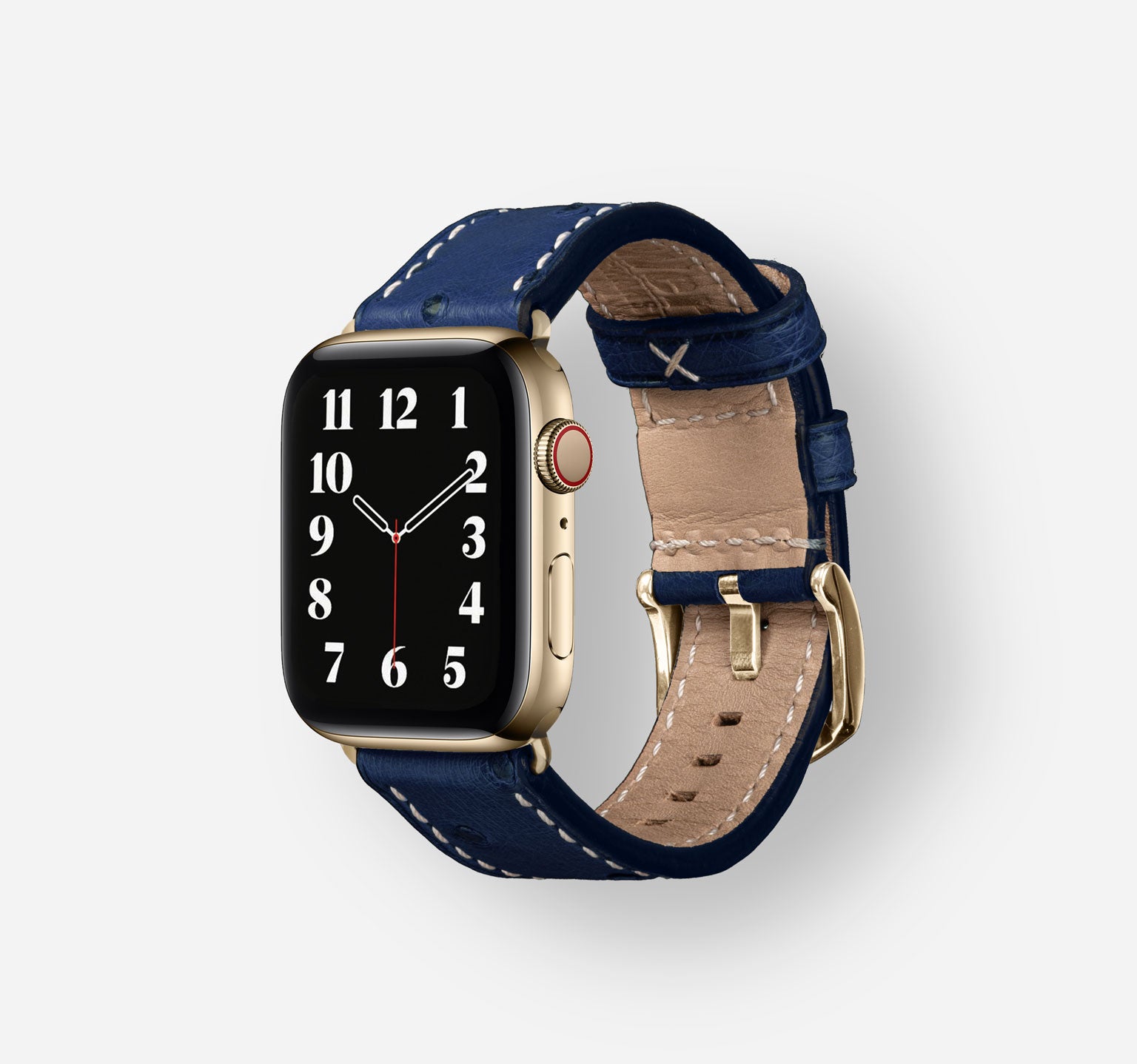 Ostrich-Blue-Stainless-Steel-Gold