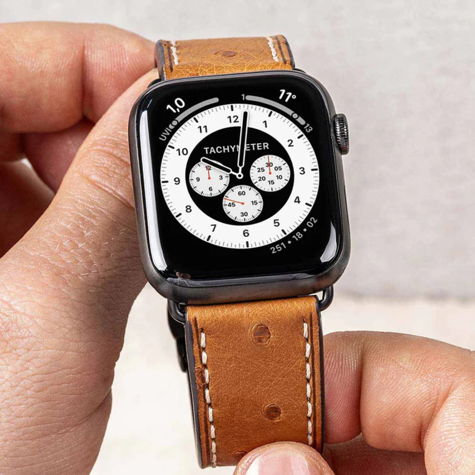 Braun / 42mm / Schwarz Poliert