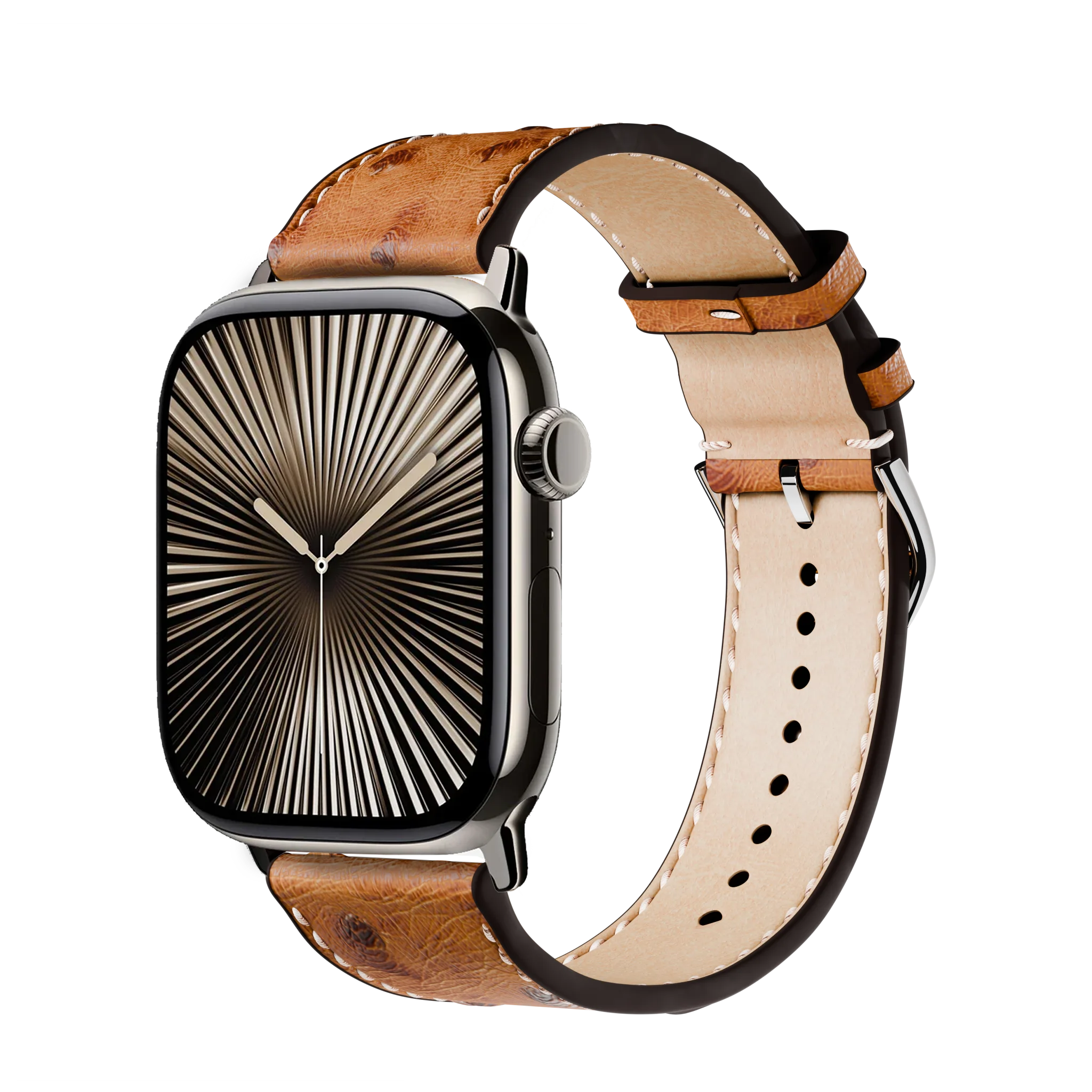 Braun / 46mm / Titan Natur