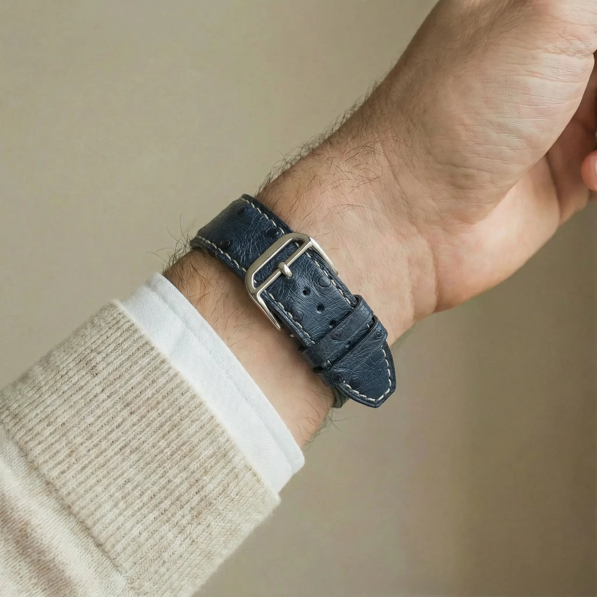 Blau / 46mm / Titan Natur