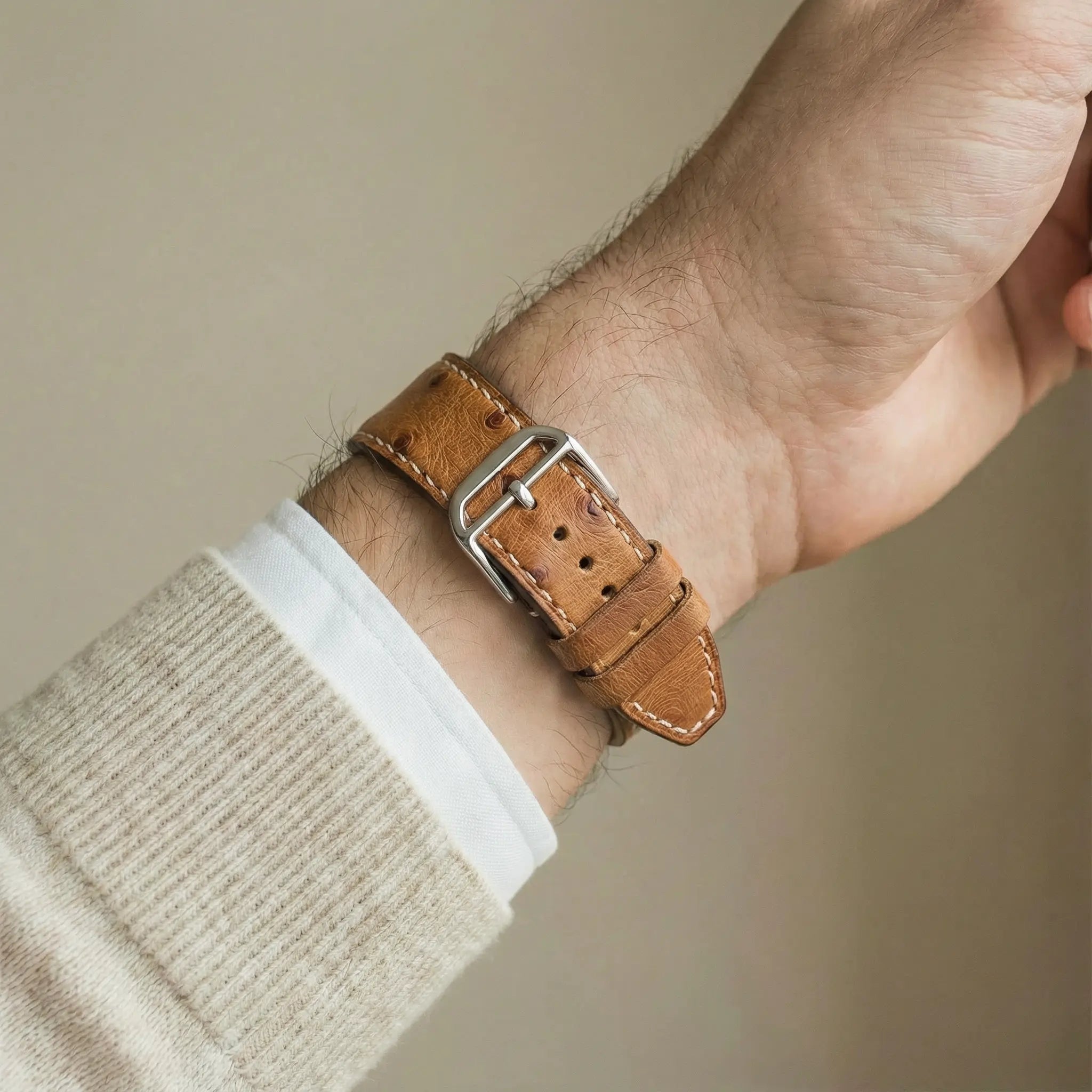 Braun / 46mm / Titan Natur