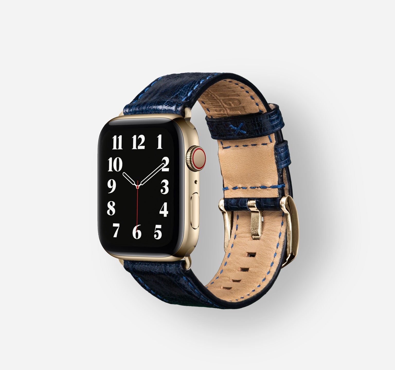 Tegu-Blue-Stainless-Steel-Gold