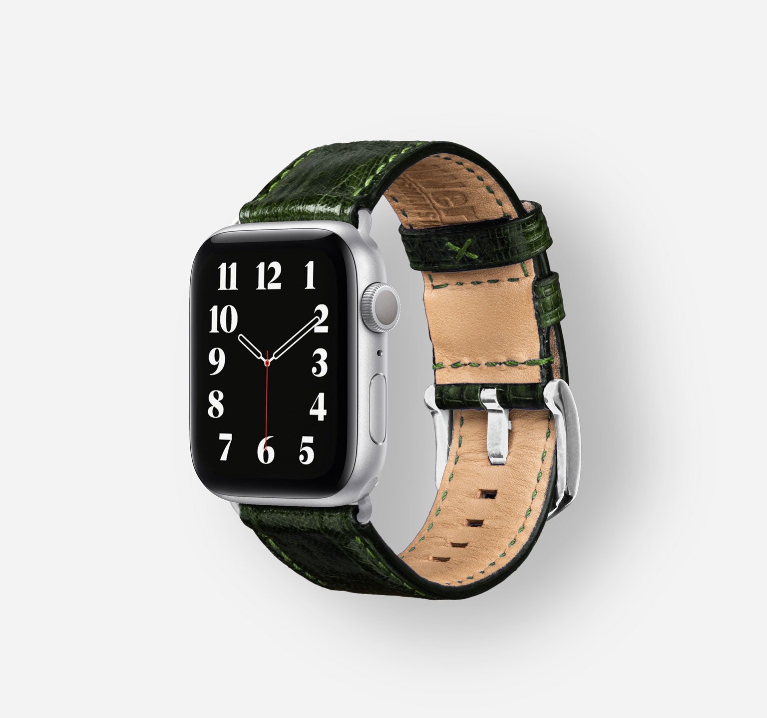 Tegu-Green-Alu-Silver